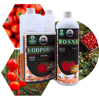 Zestaw Naturalnych Nawozów Mikrobiologicznych Do Uprawy Pomidorów