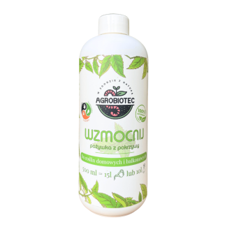 Wzmocnij