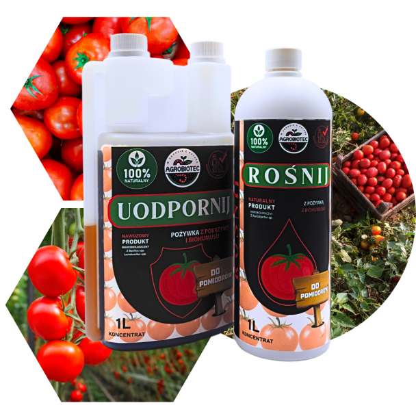 Zestaw Naturalnych Nawozów Mikrobiologicznych Do Uprawy Pomidorów